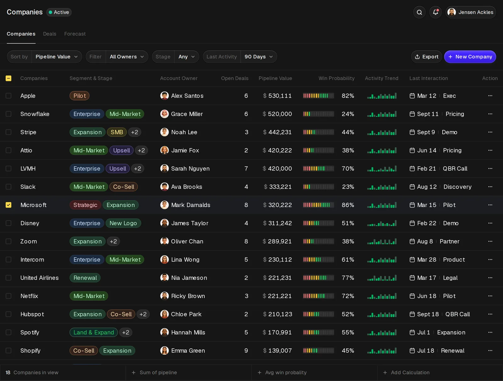 Kargul Studio's sales-crm mock-up: a dark Companies table with segment tags, account owners, open deals, pipeline value, win probability bars, activity sparklines and last interaction dates
